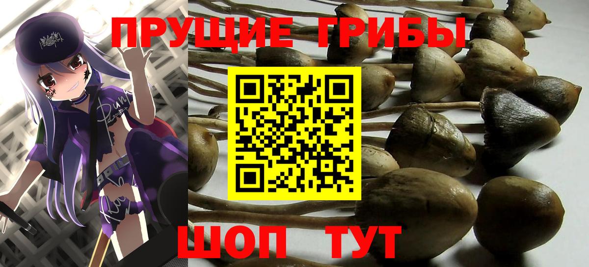 Алапаевск  Галлюциногенные грибы Psilocybe  Вход с VPN  Галлюциногенные грибы прущие грибы 